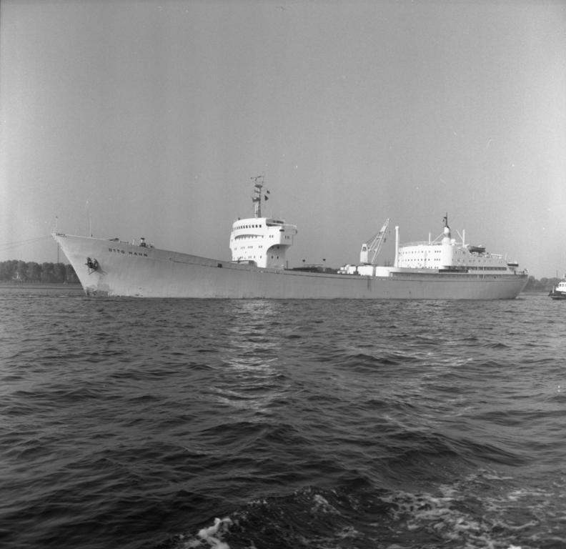 1964
